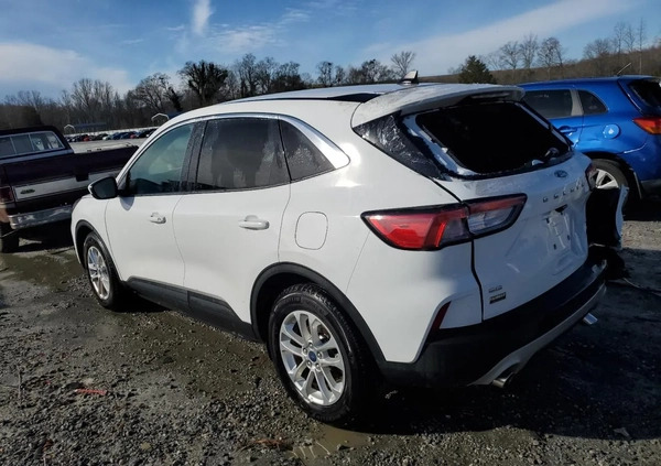 Ford Escape cena 48900 przebieg: 54912, rok produkcji 2021 z Zawidów małe 67